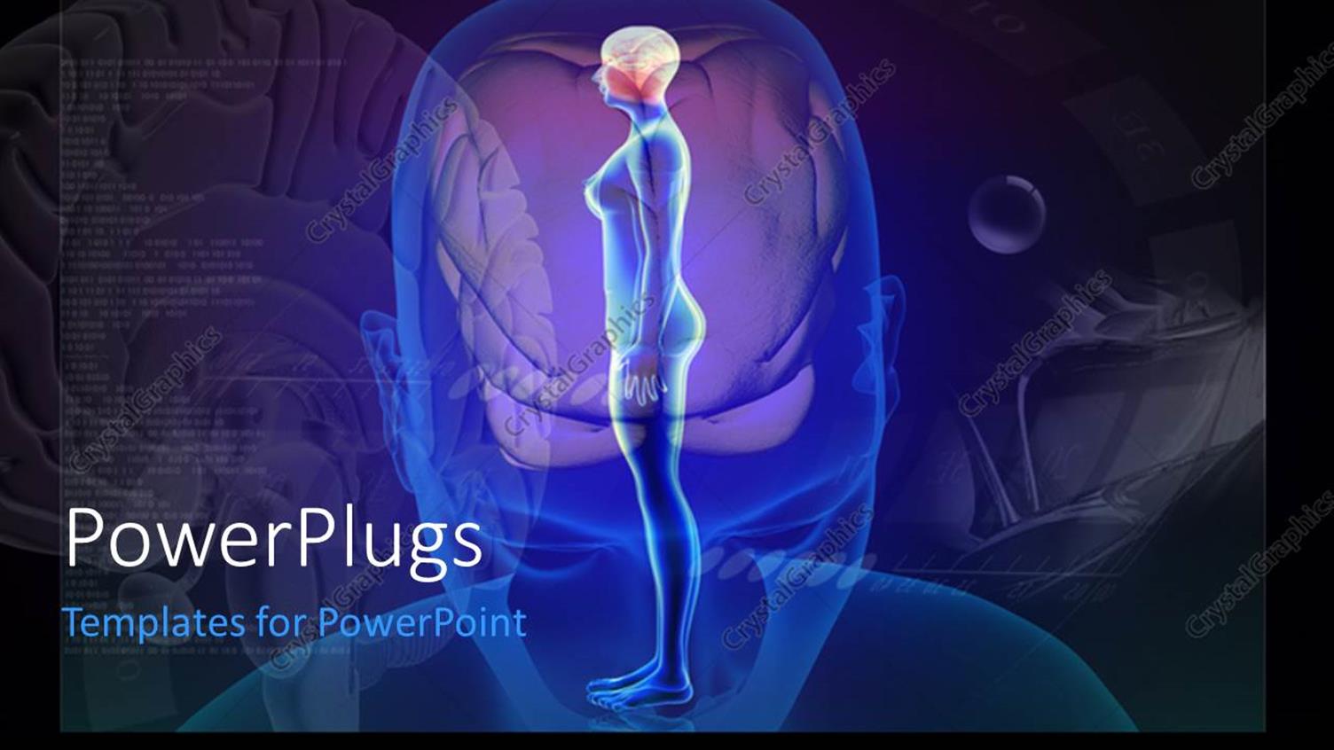 Premium Template for PowerPoint & Google Slides 