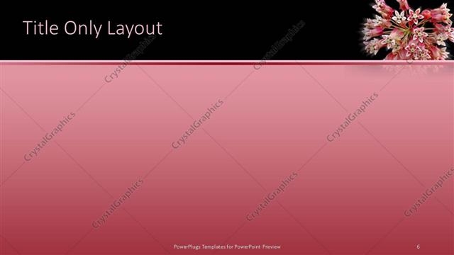 Title Only presentation slide layout