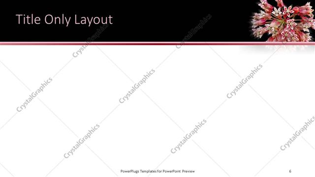 Title Only presentation slide layout