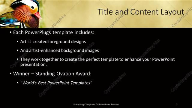 Title and Content presentation slide layout
