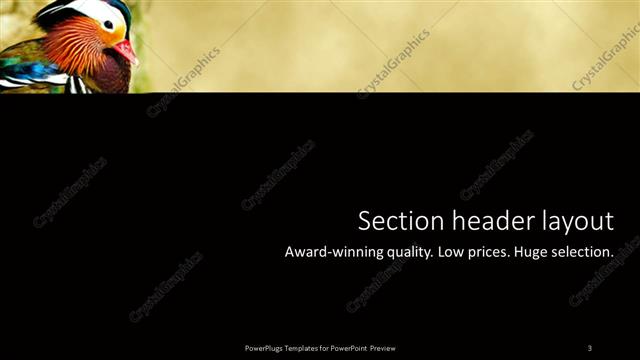 Section Header presentation slide layout