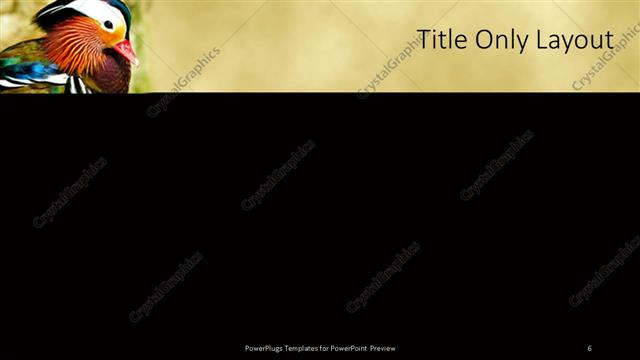 Title Only presentation slide layout