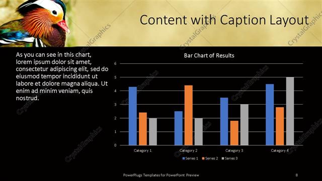 Content with Caption presentation slide layout