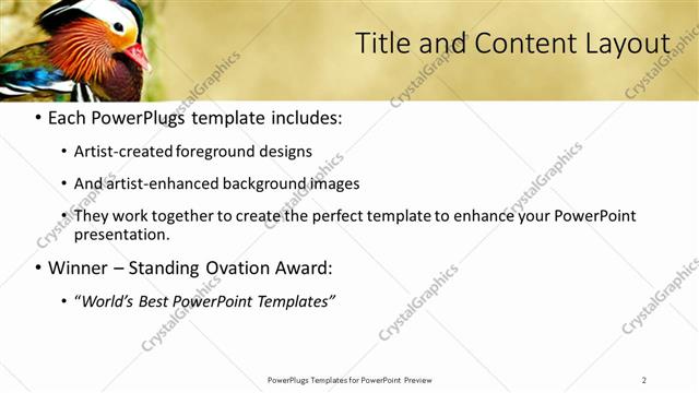Title and Content presentation slide layout