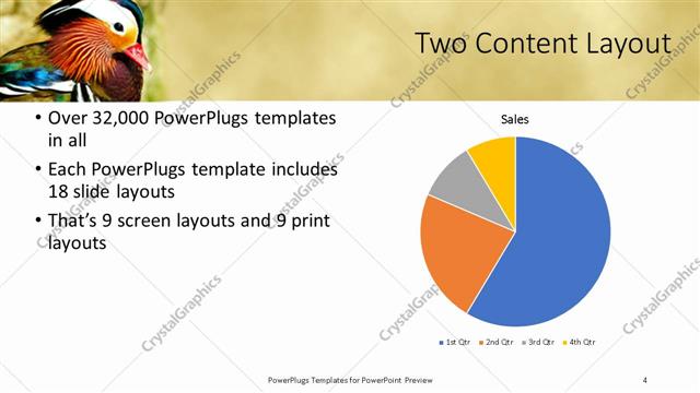 Two Content presentation slide layout