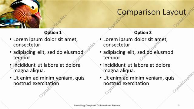 Comparison presentation slide layout