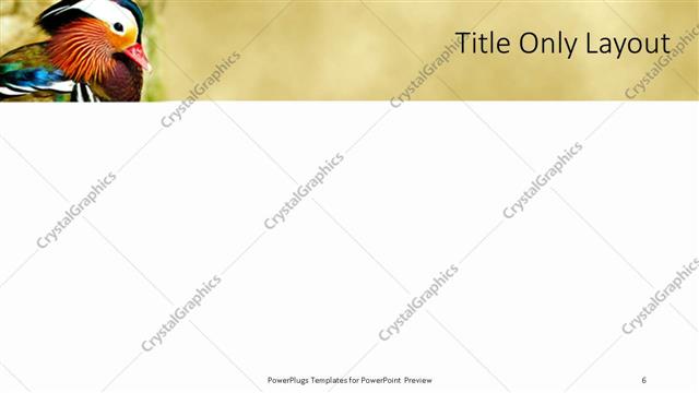 Title Only presentation slide layout