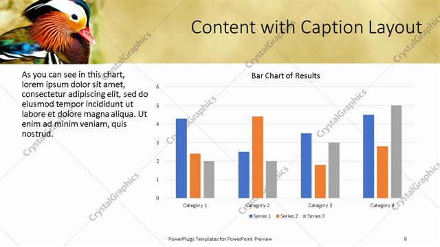 Content with Caption presentation slide layout