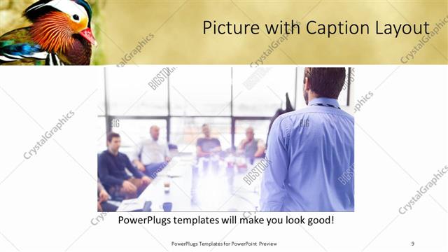 Picture with Caption presentation slide layout