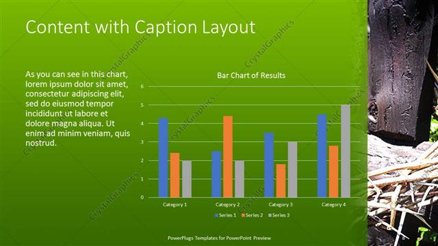 Content with Caption presentation slide layout