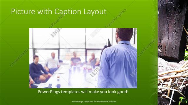 Picture with Caption presentation slide layout