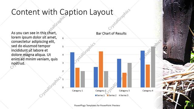 Content with Caption presentation slide layout