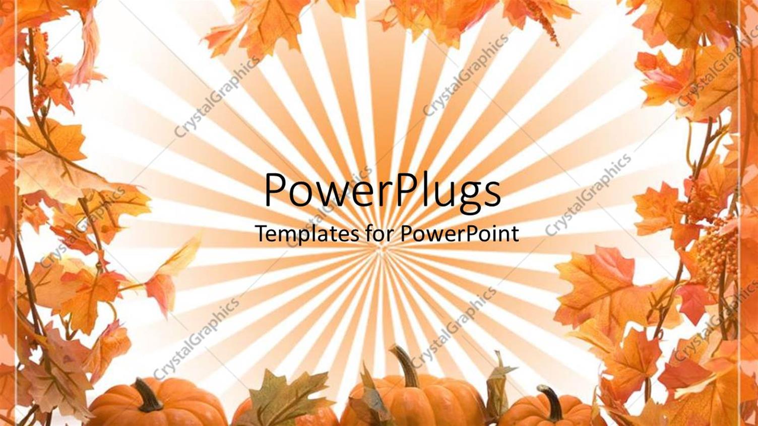 Premium Template for PowerPoint & Google Slides 