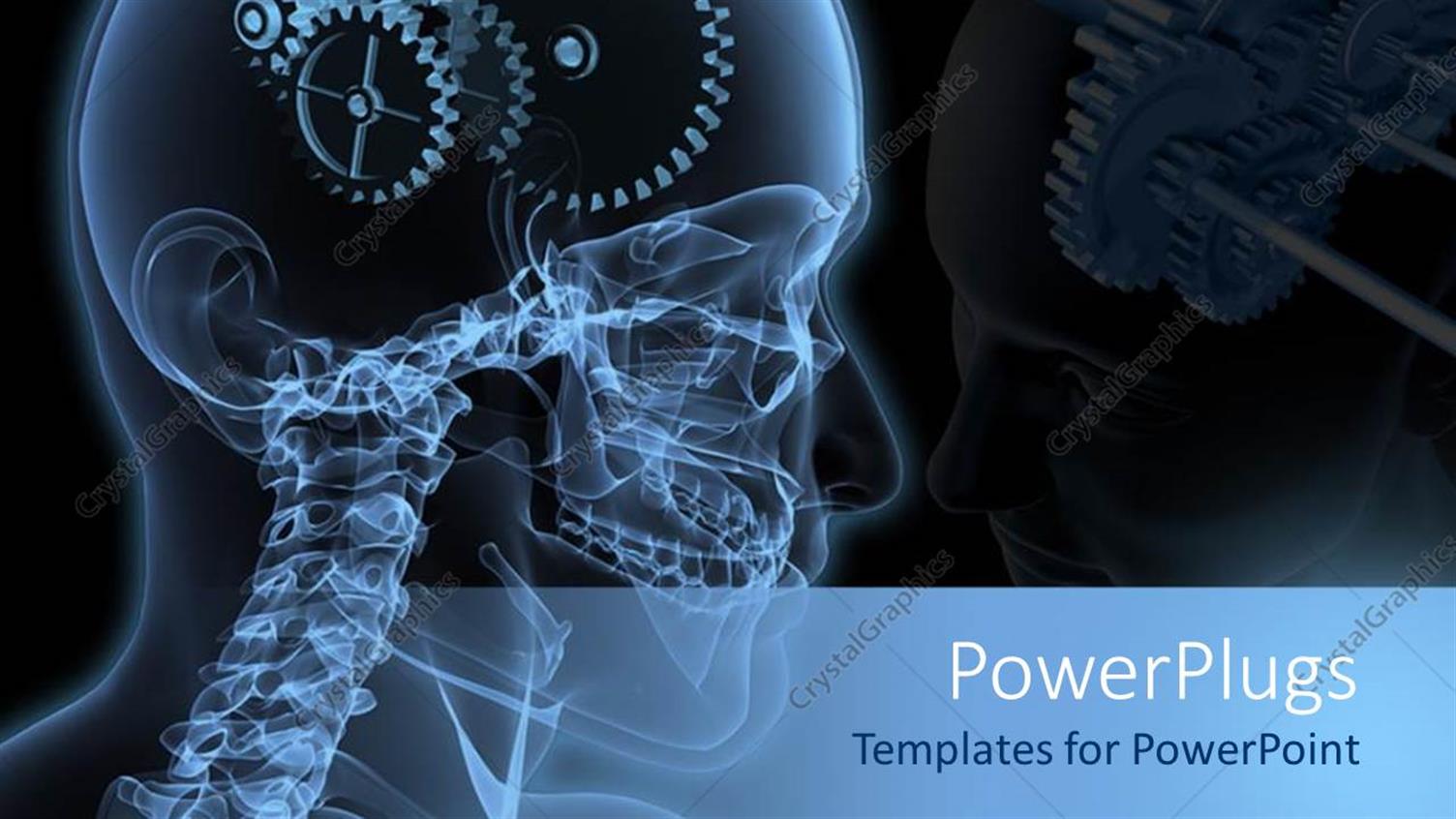 Premium Template for PowerPoint & Google Slides 