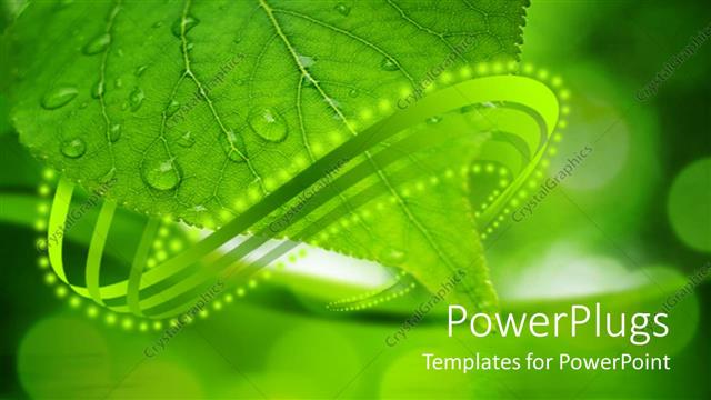  Presentation with dew - A depiction of green leaf with dew drops and its reflection