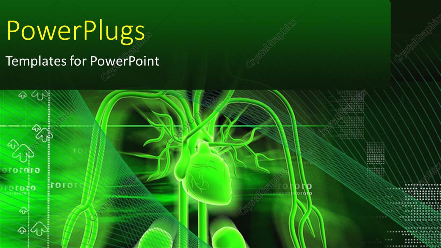 Premium Template for PowerPoint & Google Slides 