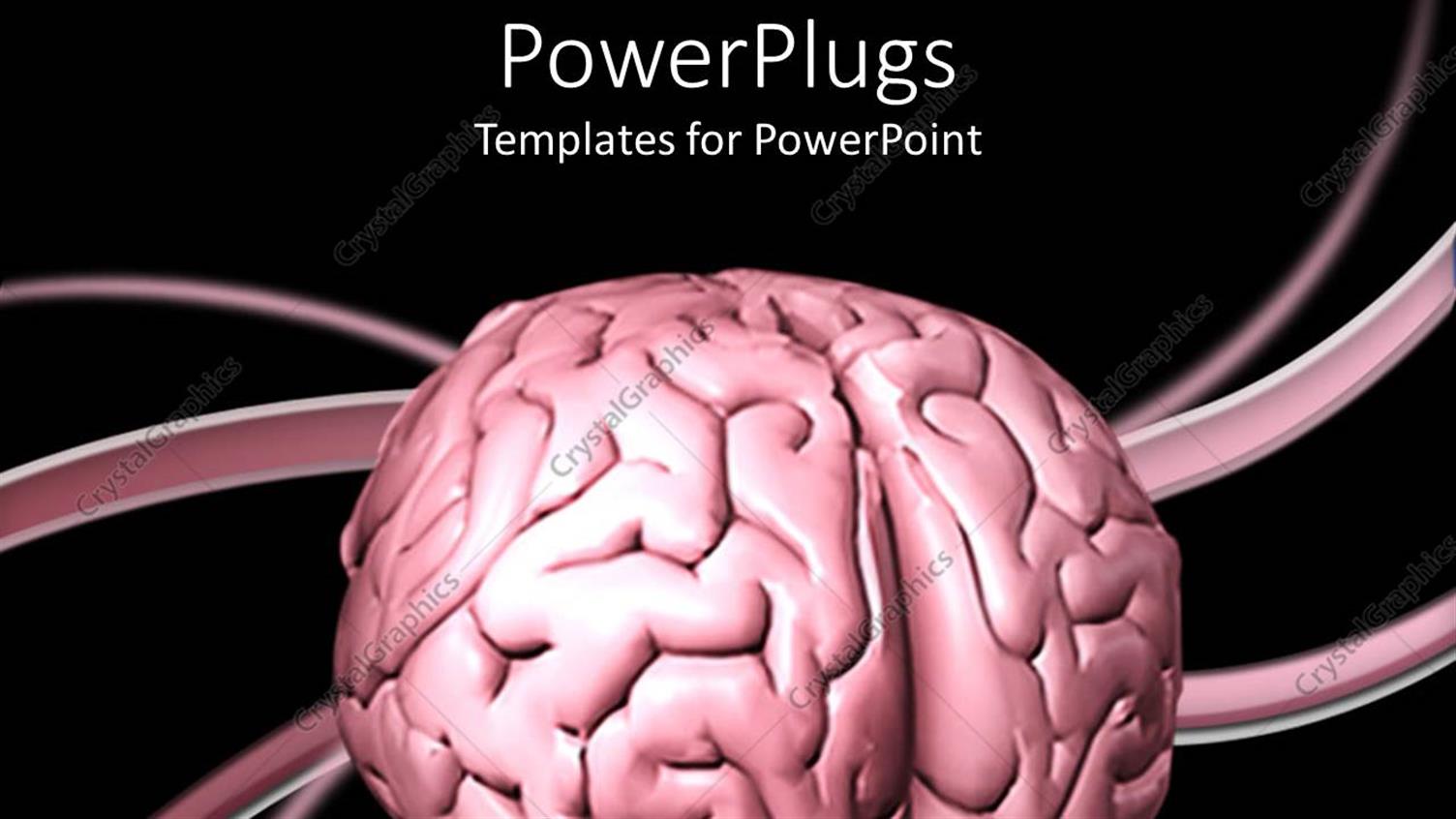 Featuring a Depiction of Human Brain with Various Lines in the Background