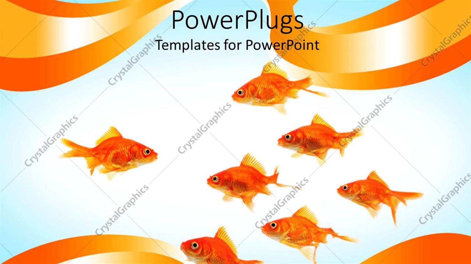 Premium Template for PowerPoint & Google Slides 