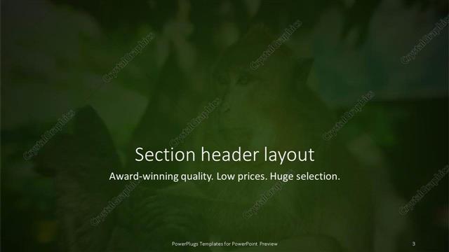 Section Header presentation slide layout
