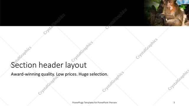 Section Header presentation slide layout