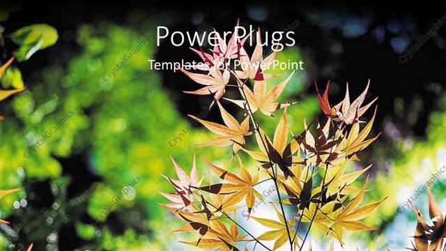  Presentation with garden - Depiction of nature with close-up of plant in large garden