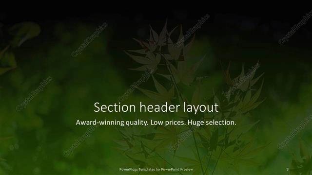 Section Header presentation slide layout