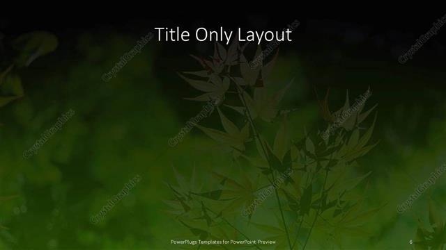 Title Only presentation slide layout