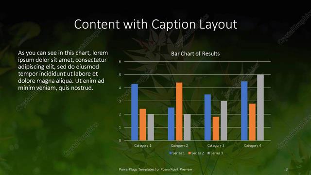 Content with Caption presentation slide layout