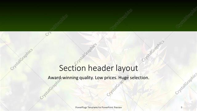 Section Header presentation slide layout