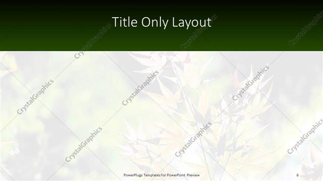 Title Only presentation slide layout
