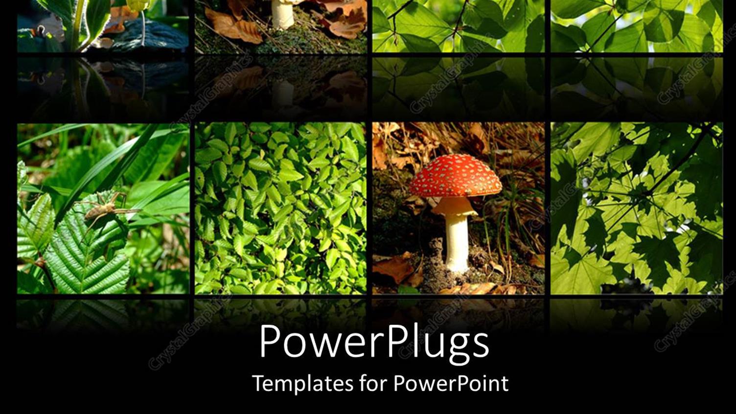 Premium Template for PowerPoint & Google Slides 