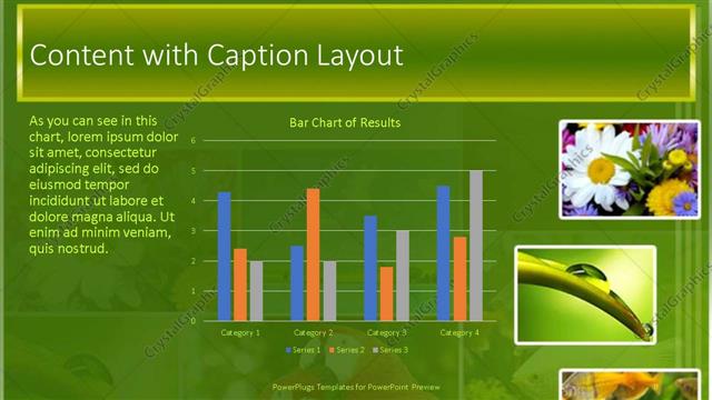 Content with Caption presentation slide layout