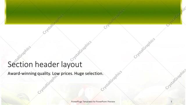 Section Header presentation slide layout