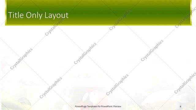 Title Only presentation slide layout