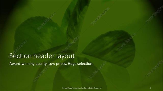 Section Header presentation slide layout