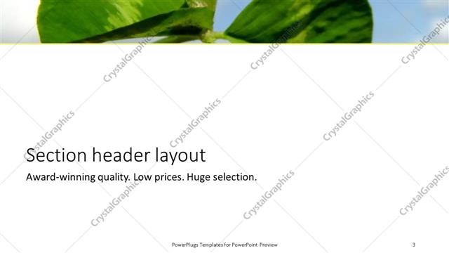 Section Header presentation slide layout