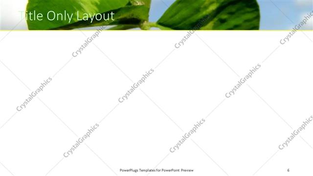 Title Only presentation slide layout