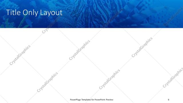 Title Only presentation slide layout