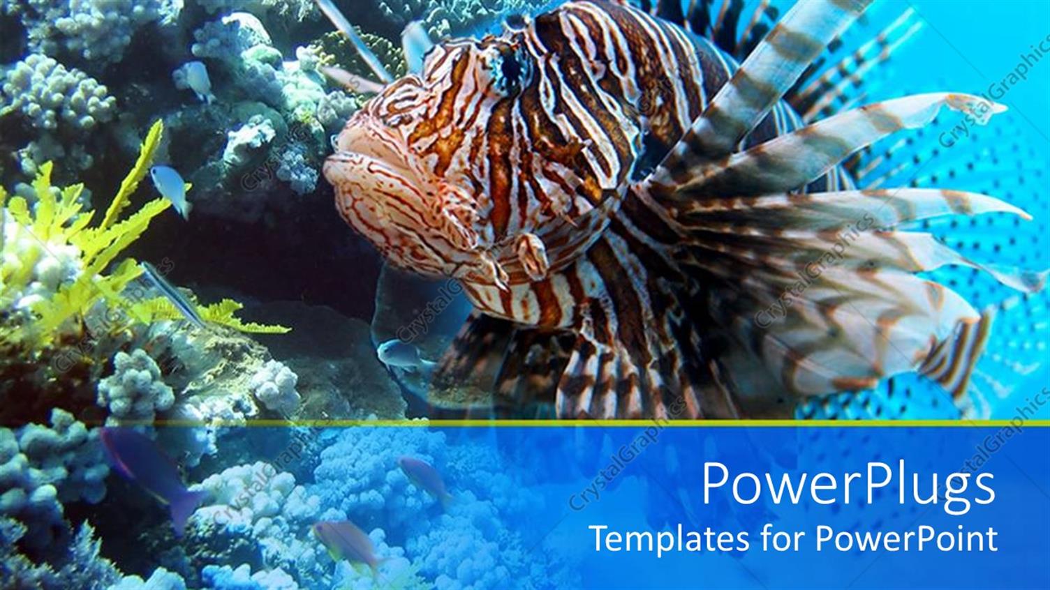 Premium Template for PowerPoint & Google Slides 