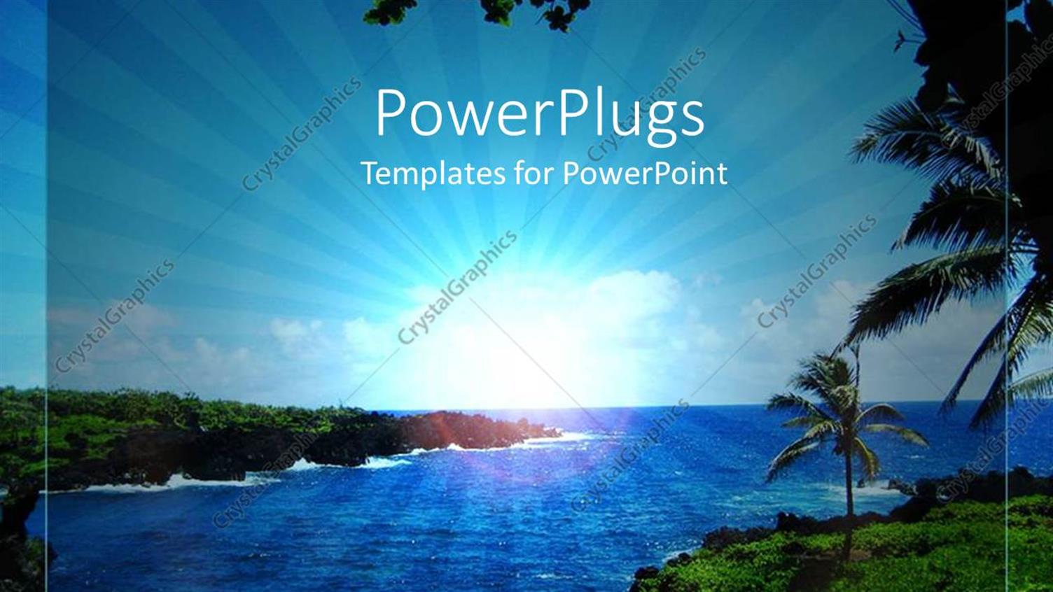 Premium Template for PowerPoint & Google Slides 