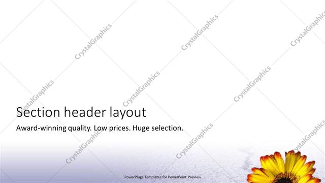 Section Header presentation slide layout