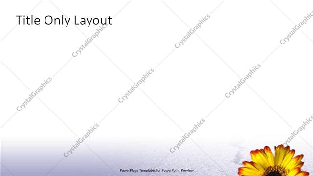 Title Only presentation slide layout