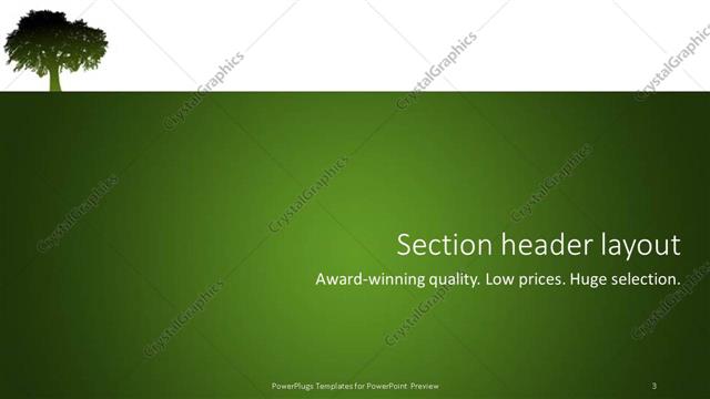 Section Header presentation slide layout