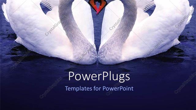  Presentation with shape - Depiction of two Swan forming love shape over blue background?