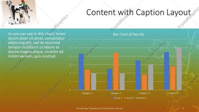 Content with Caption presentation slide layout