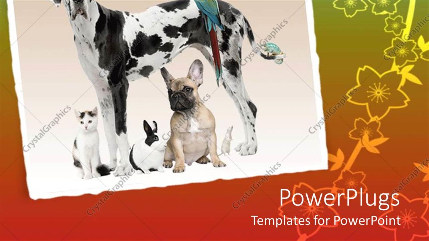 Premium Template for PowerPoint & Google Slides 