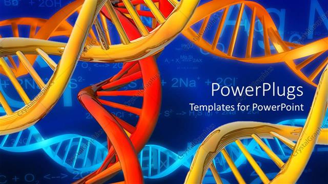  Presentation with dna - A depiction of various DNA models placed together along with formulas