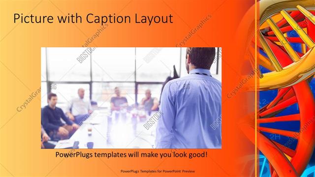 Picture with Caption presentation slide layout