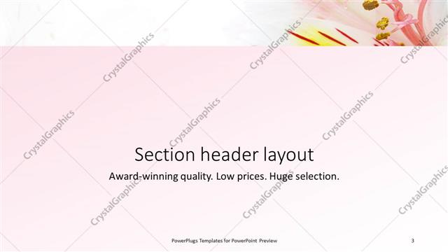 Section Header presentation slide layout