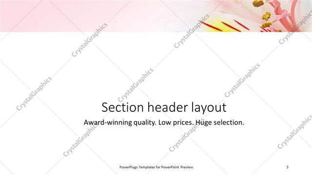 Section Header presentation slide layout